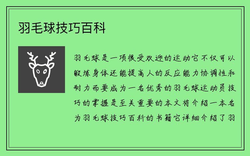 羽毛球技巧百科